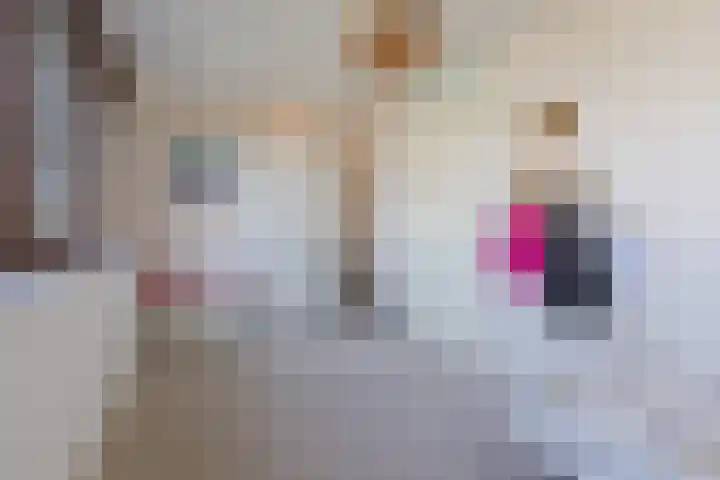 Boschlaan 45 Maasbree thumbnail 21