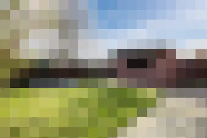 Boschlaan 45 Maasbree thumbnail 30