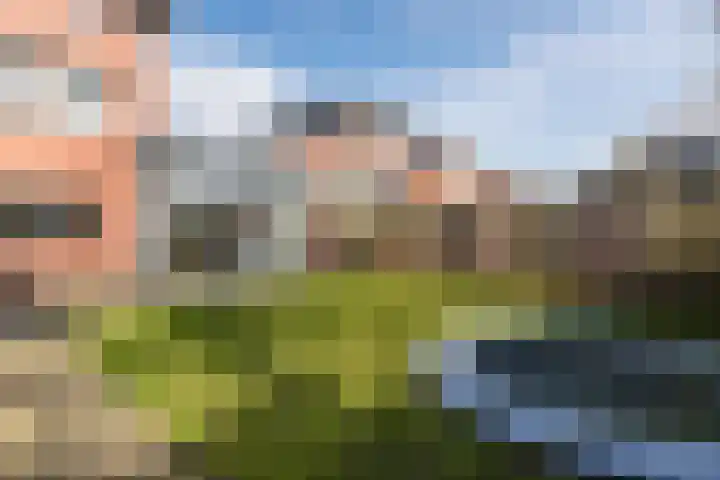 Boschlaan 45 Maasbree thumbnail 33