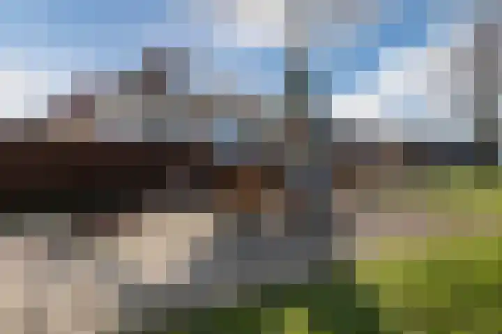 Boschlaan 45 Maasbree thumbnail 39