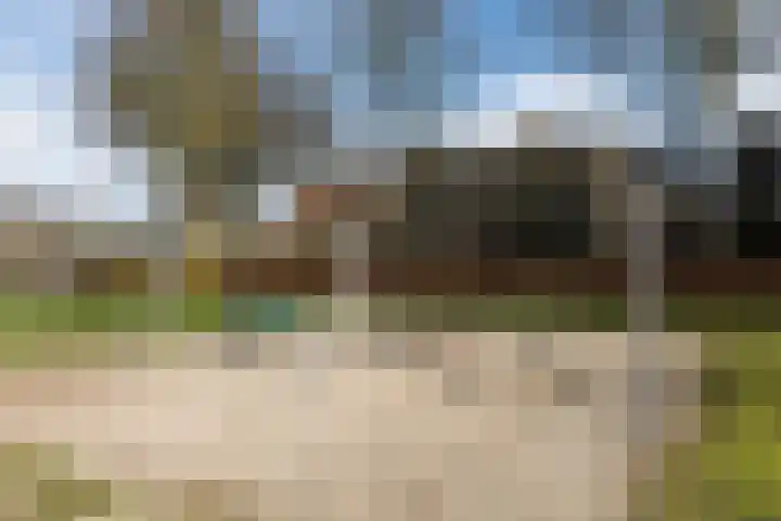Boschlaan 45 Maasbree thumbnail 40