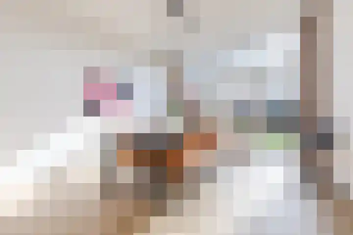 Boschlaan 45 Maasbree thumbnail 5