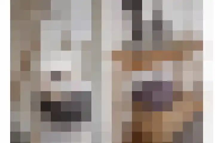 Boschlaan 61 Maasbree thumbnail 13