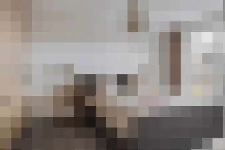 Boschlaan 61 Maasbree thumbnail 14