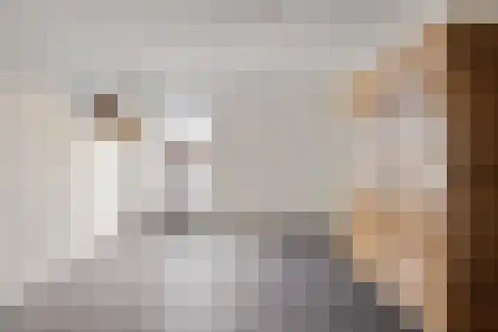 Boschlaan 61 Maasbree thumbnail 23