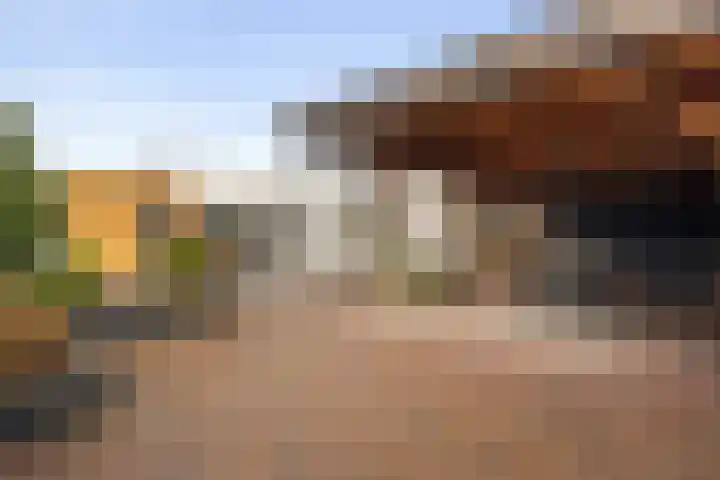 Boschlaan 61 Maasbree thumbnail 28