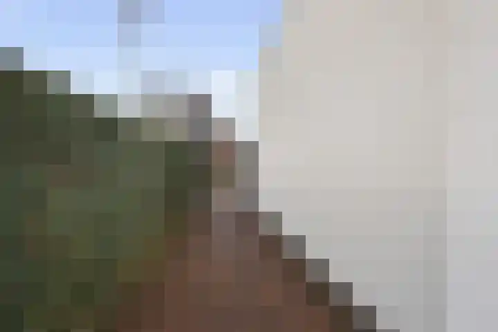 Boschlaan 61 Maasbree thumbnail 33