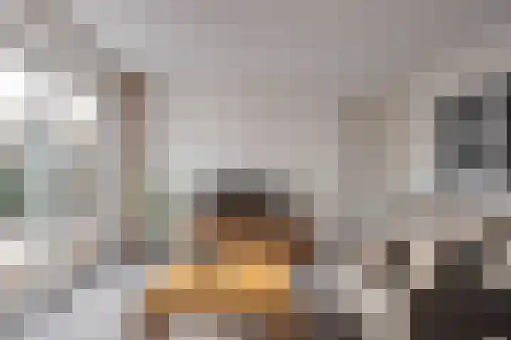 Boschlaan 61 Maasbree thumbnail 9