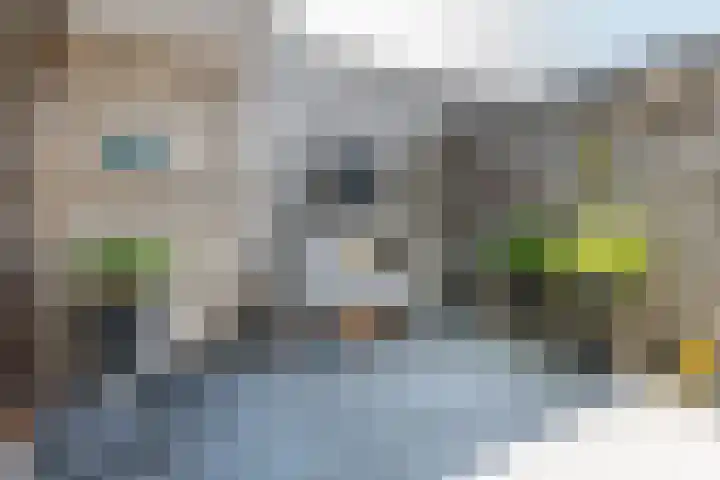 Boschplaat 118 Hoofddorp thumbnail 30