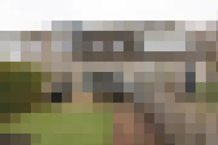 Boschplaat 64 Amstelveen thumbnail 19