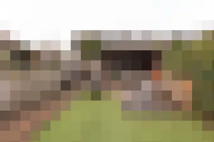 Boschplaat 64 Amstelveen thumbnail 7