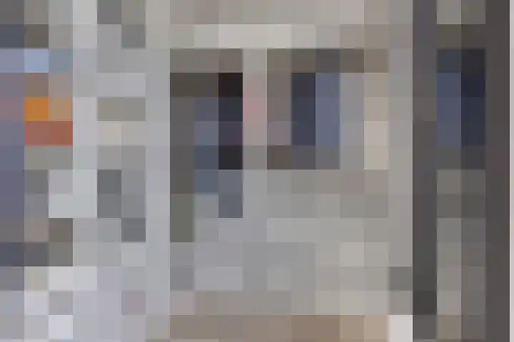 Boschrand 23 Goirle thumbnail 23
