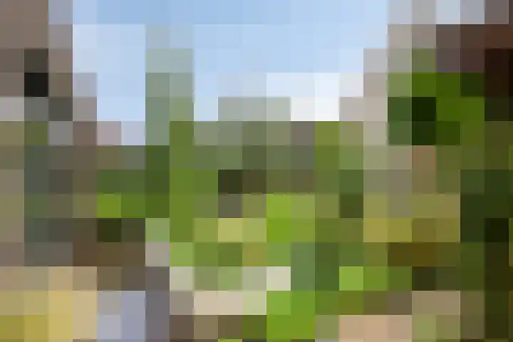 Boschrand 23 Goirle thumbnail 37