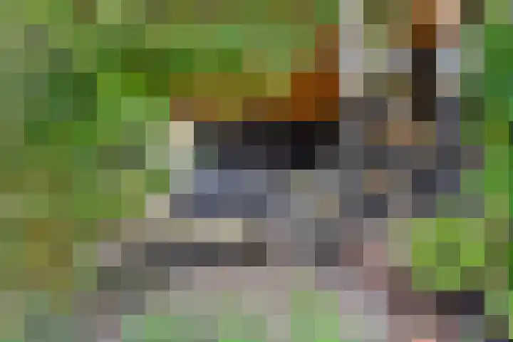 Boschrand 23 Goirle thumbnail 38