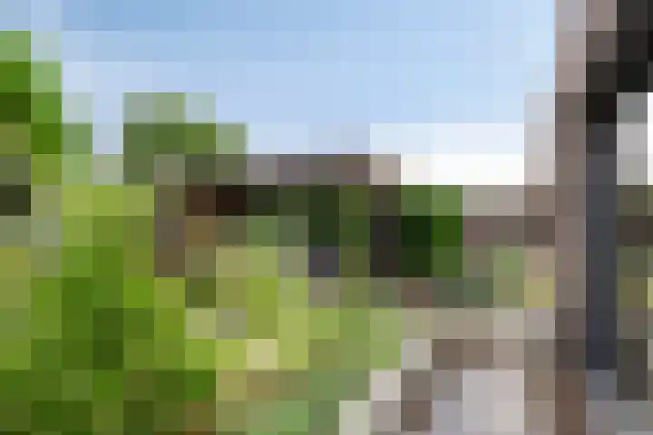 Boschrand 23 Goirle thumbnail 39