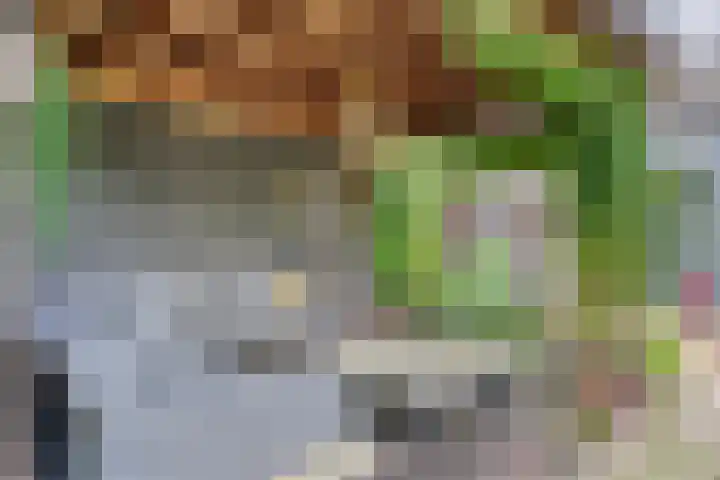 Boschrand 23 Goirle thumbnail 41
