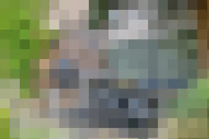 Boschrand 23 Goirle thumbnail 42