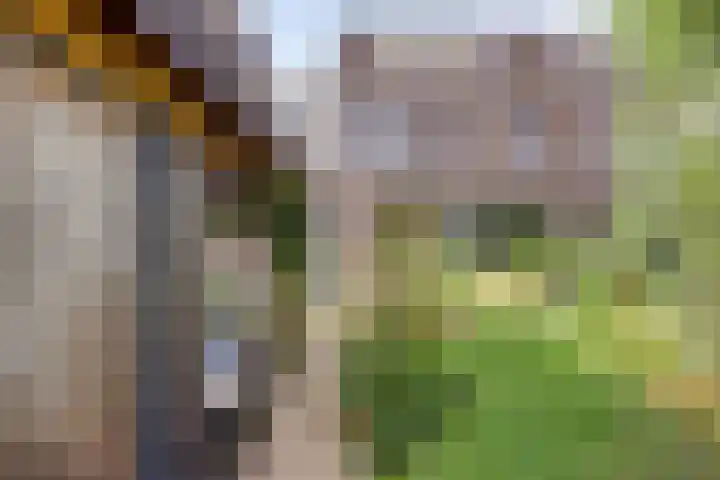 Boschrand 23 Goirle thumbnail 43