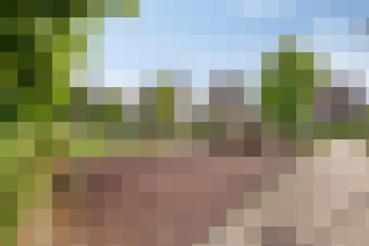 Boschrand 23 Goirle thumbnail 45
