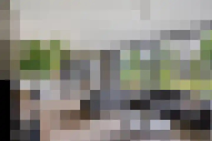 Boschrand 23 Goirle thumbnail 7
