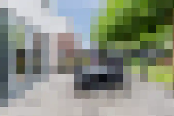 Boschring 11 Goirle thumbnail 33