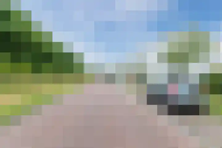Boschring 11 Goirle thumbnail 34
