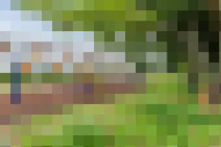 Boschring 11 Goirle thumbnail 35