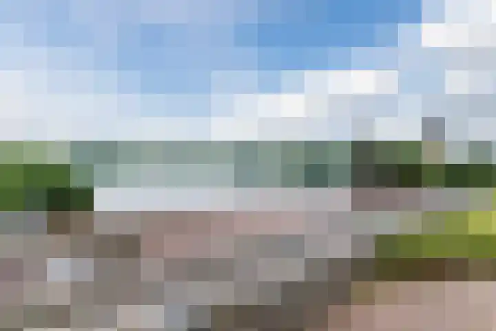 Boschring 11 Goirle thumbnail 36
