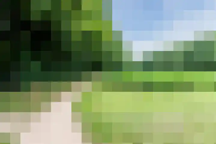 Boschring 11 Goirle thumbnail 37