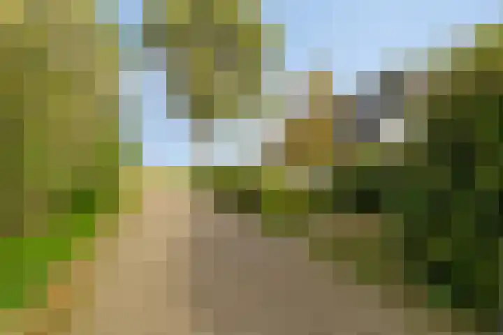 Boschweg 14 A Den Andel thumbnail 14