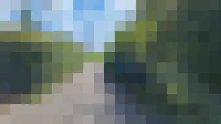 Boschweg 14 A Den Andel thumbnail 15