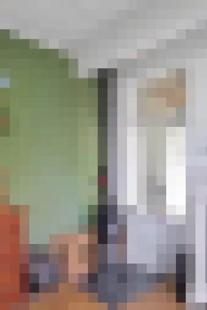 Boschweg 14 A Den Andel thumbnail 23