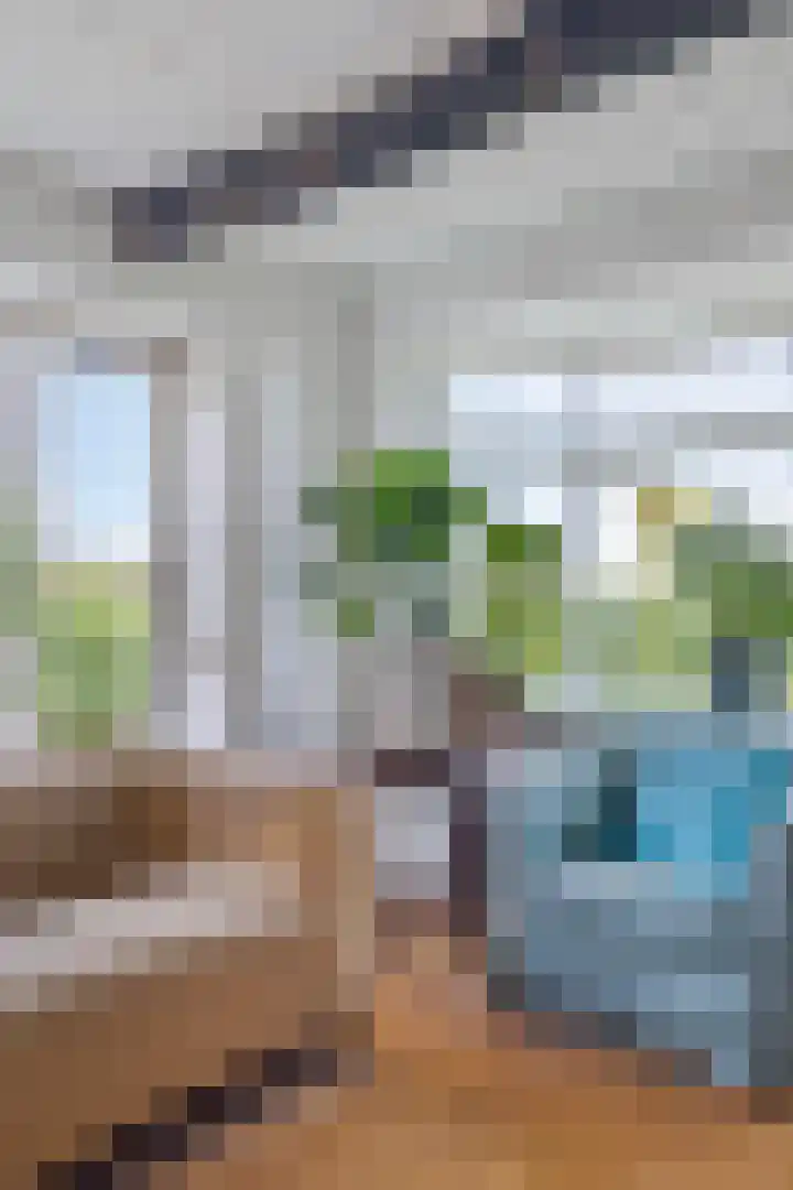 Boschweg 14 A Den Andel thumbnail 30