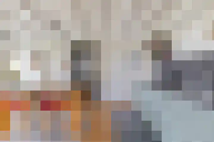Boschweg 14 A Den Andel thumbnail 32
