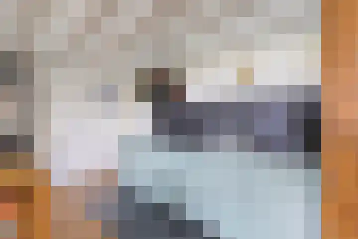 Boschweg 14 A Den Andel thumbnail 33