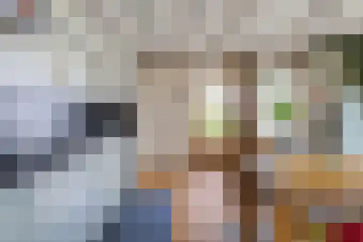 Boschweg 14 A Den Andel thumbnail 34