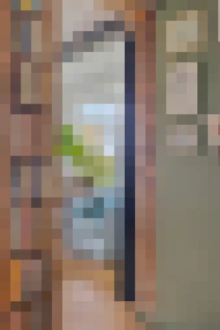 Boschweg 14 A Den Andel thumbnail 35