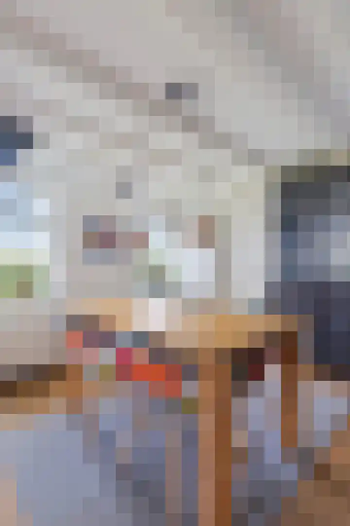 Boschweg 14 A Den Andel thumbnail 39