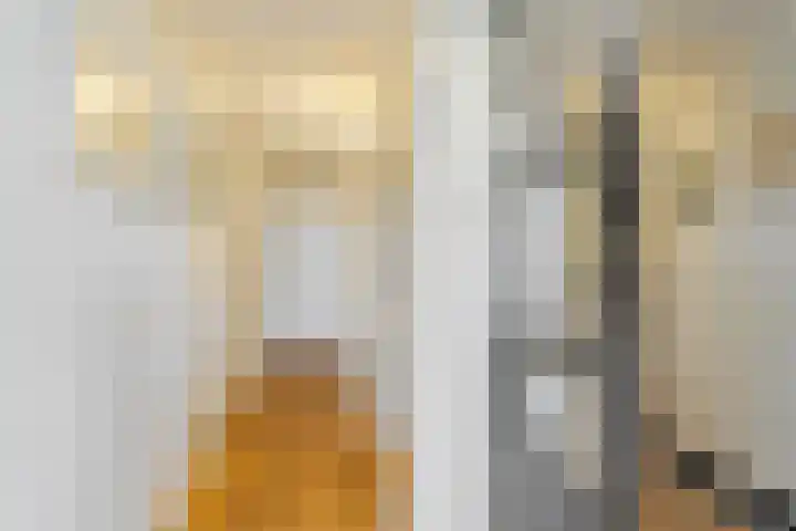 Boschweg 14 A Den Andel thumbnail 41