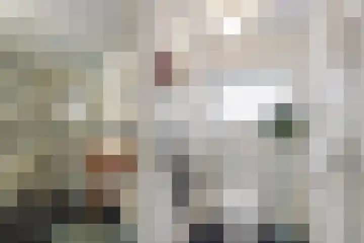 Boschweg 14 A Den Andel thumbnail 44