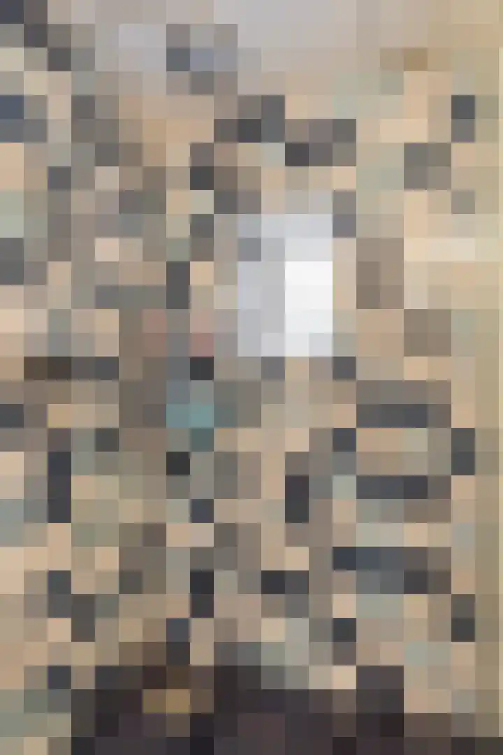 Boschweg 14 A Den Andel thumbnail 47