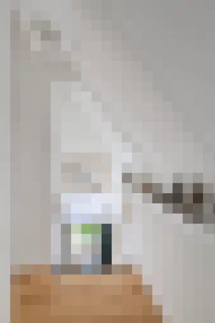 Boschweg 14 A Den Andel thumbnail 49