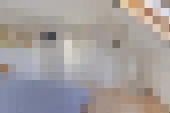 Boschweg 14 A Den Andel thumbnail 55