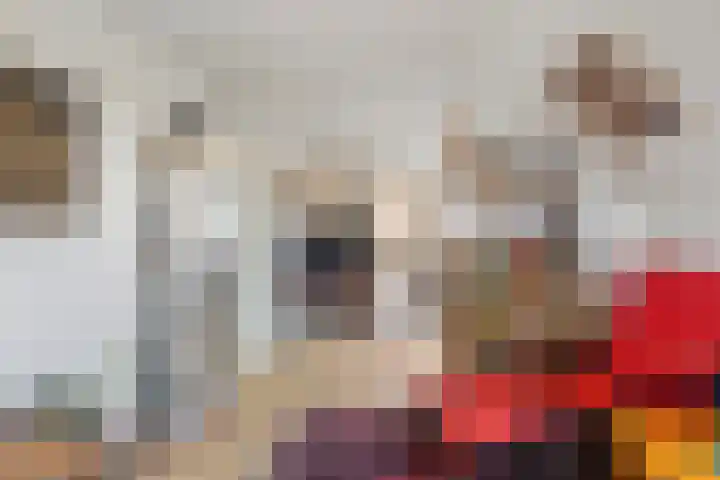 Boschweg 14 A Den Andel thumbnail 59