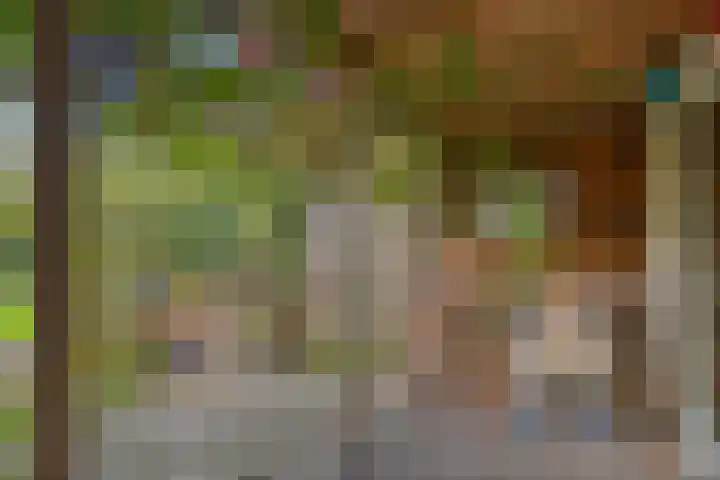 Boschweg 14 A Den Andel thumbnail 65