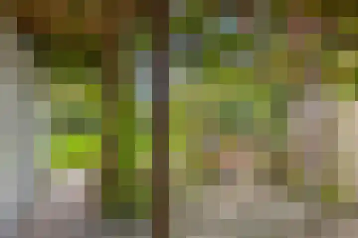 Boschweg 14 A Den Andel thumbnail 66