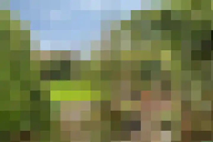 Boschweg 14 A Den Andel thumbnail 67
