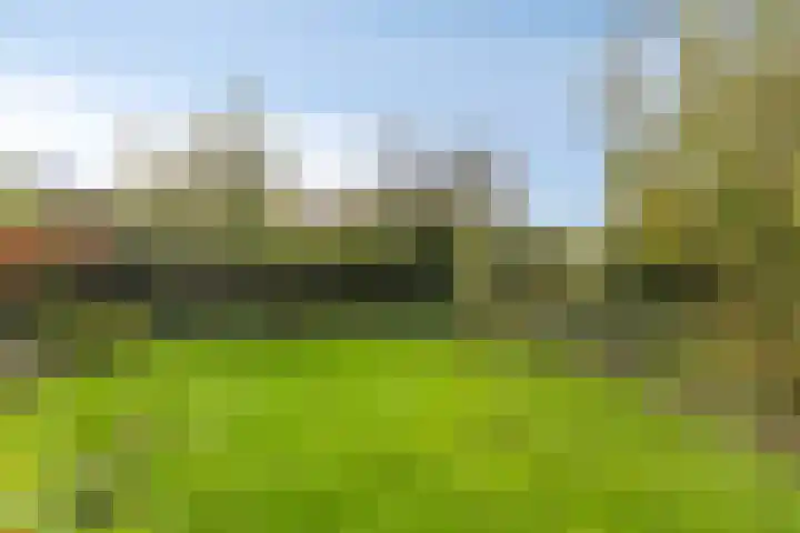 Boschweg 14 A Den Andel thumbnail 68