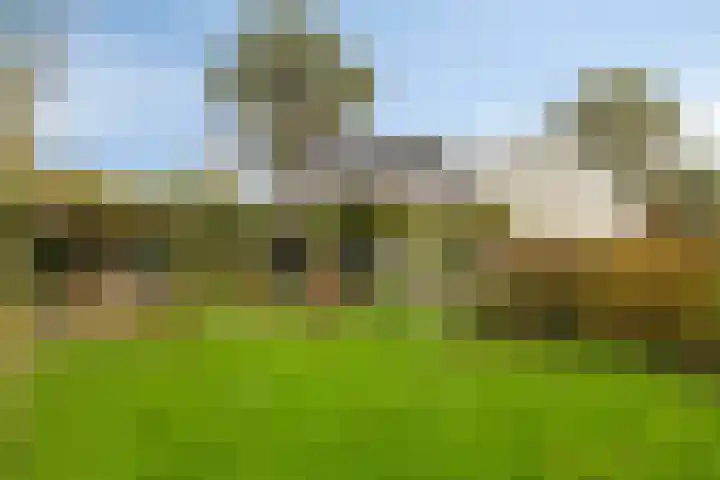 Boschweg 14 A Den Andel thumbnail 69