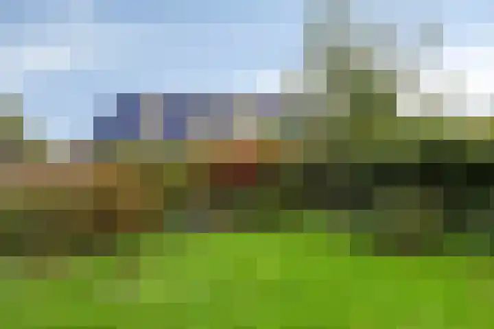 Boschweg 14 A Den Andel thumbnail 71